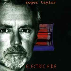 Electric fire